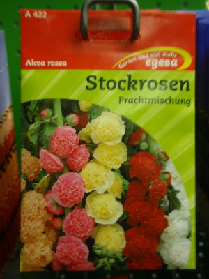 Stockrosen, gefllt, Althaea rosea Prachtmischung