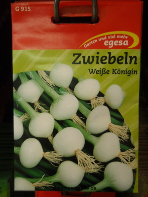 Zwiebeln Weie Knigin