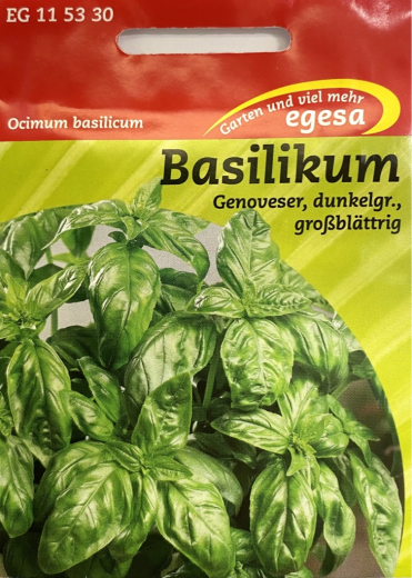 Basilikum groblttriger Genoveser