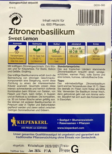 Basilikum Zitronenbasilikum