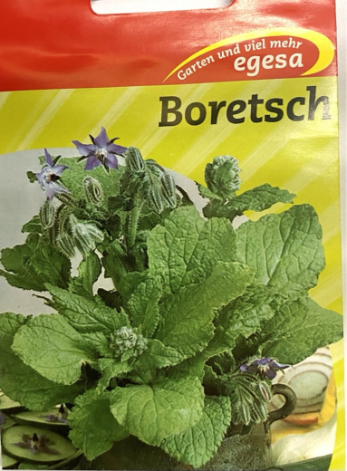 Boretsch Borago officinalis