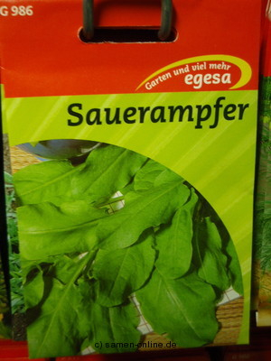 Sauerampfer, Rumex acetosa