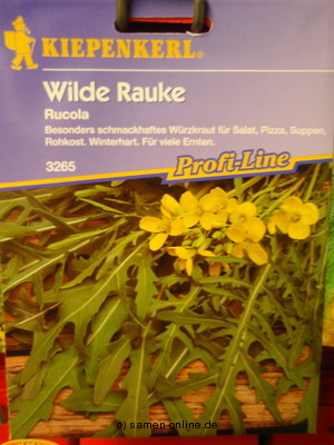 Rucola - Wilde Rauke