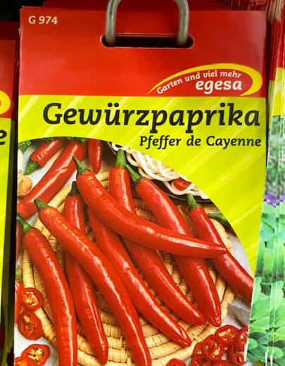 Petersilie Wurzelpetersilie Halblang