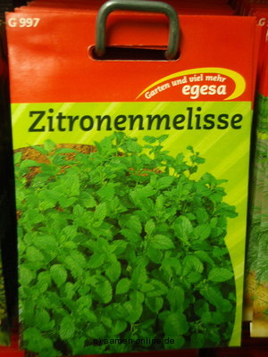 Zitronenmelisse