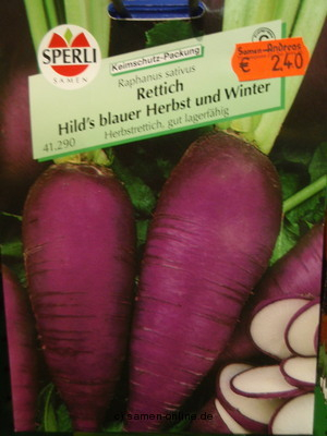 Rettich Herbstrettich blauer Herbst