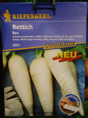 Rettich Rex Saatband