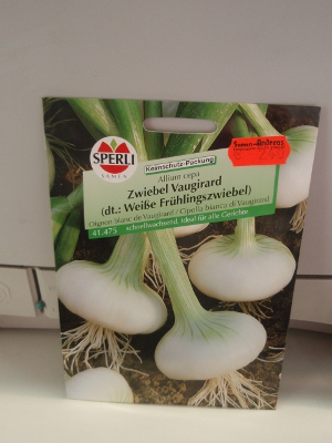Zwiebel, Wei�e Fr�hlingszwiebel / Vaugirard