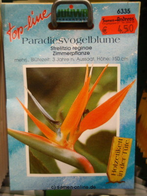 Strelizie Paradiesvogelblume