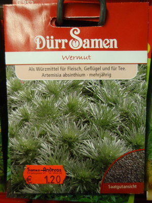 Wermut, Artemisia absinthum,