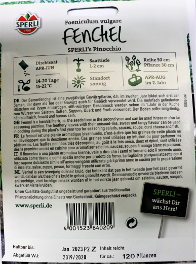 Fenchel Gew�rzfenchel Foeniculum vulgare