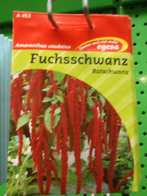 Fuchsschwanz 'Rotschwanz', Amaranthus caudatus