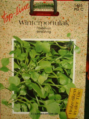 Portulak, Winterportulak, Postelein