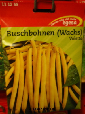 Buschbohne, Wachsbohne 'Voletta', (gelbe)