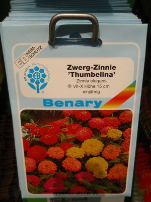 Zinnie Thumbelina, Zinnia elegans