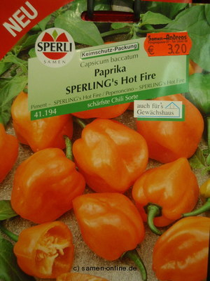 Chili Paprika 'Hot Fire' Habanero Capsicum baccatum
