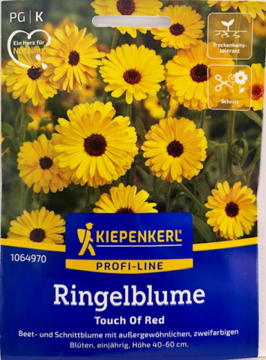 Ringelblume 'Touch of Red', Calendula offcinalis