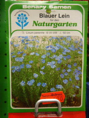 Lein, blauer Lein, Linum perenne,