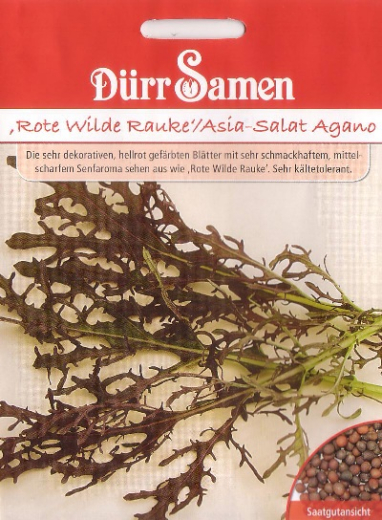 Rote Rucola - Asia Salat Agano