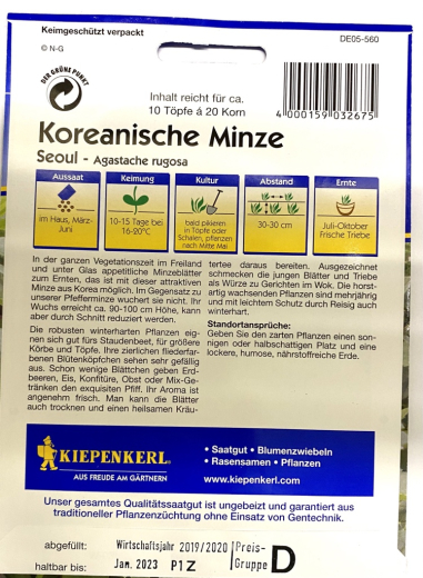 Koreanische Minze 'Seoul' Agastache rugosa