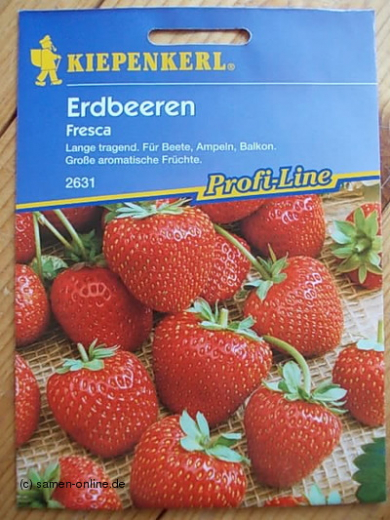 Erdbeere Fresca