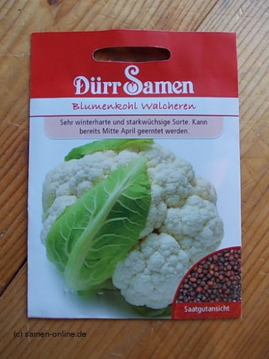Blumenkohl Winterblumenkohl Walcheren