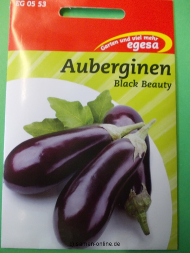 Aubergine Black Beauty