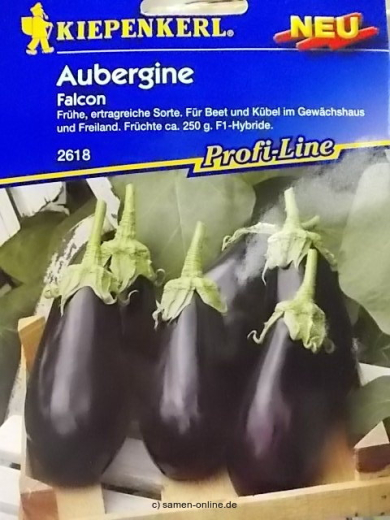 Aubergine Falcon F1 - Solanum melongena