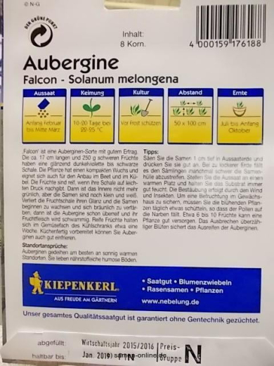 Aubergine Falcon F1 - Solanum melongena
