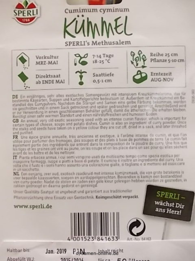 Kreuzk�mmel Methusalem - Cumimum cyminum
