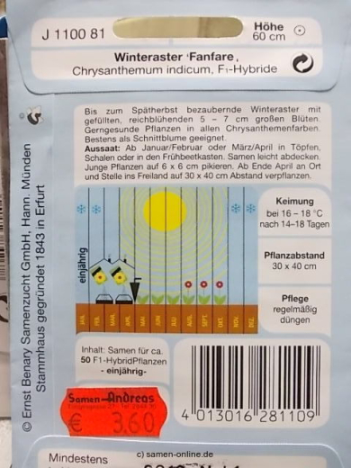 Winteraster Fanfare F1 Chrysanthemum indicum