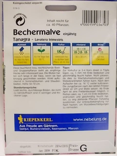 Bechermalve Tanagra Lavatera trimestris