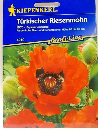 Morhn Trkischer Riesenmohn  ROT Papaver orientale
