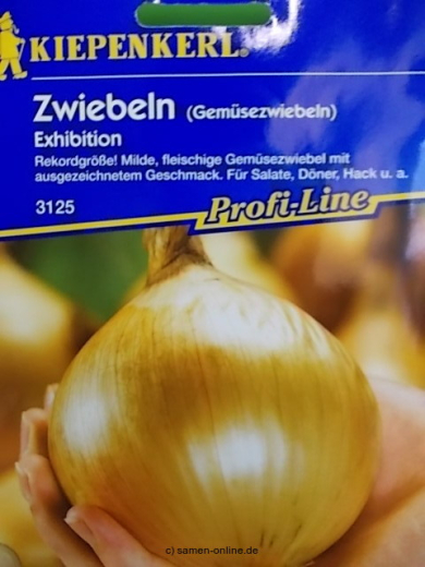 Zwiebel Exhibition -  Riesenzwiebel Gemsezwiebel