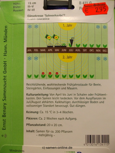 G�nsekresse 'Schneehaube' Arabis caucasica