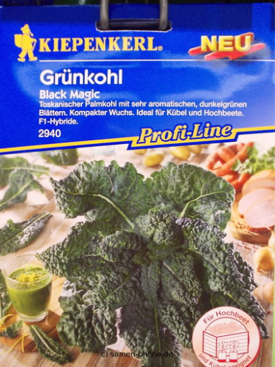 Grnkohl 'Black Magic' (Palmkohl)