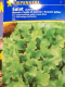 Schnittsalat Krauser gelber 'Bionda a foglia di quercia'