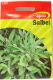 Salbei - Salvia officinalis