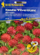 Scabiose Knautie Witwenblume 'Red Knight' Knautia macedonia
