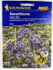Rasselblume Amor Blue - Catananche caerulea
