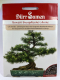 Bonsai europ�ische L�rche - Larix decidua