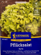 Pfl�cksalat Kyrio, Eichblattsalat