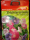 Trichterwinde Ipomea purpurea Prachtmischung (ipomoea)