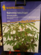 Mimose  R�hr mich nicht an  Mimosa pudica