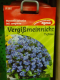 Vergimeinnicht  Indigo Compacta  Myosotis sylvatica