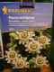 Passionsblume Passiflora caerulea