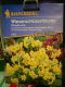 Echte Schl�sselblume, Primula veris
