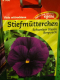 Stiefmtterchen  Schweizer Riesen Bergwacht?? Viola,