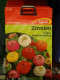 Zinnie  Liliput Prachtmischung  Zinnia elegans