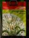 Ziergrser Einjhrige